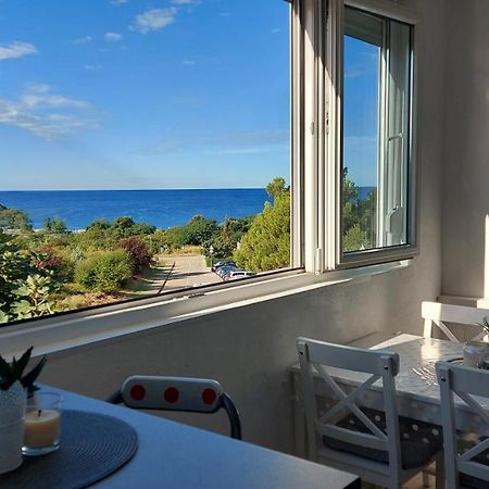 Pipo Apartment Mareda Novigrad  ภายนอก รูปภาพ