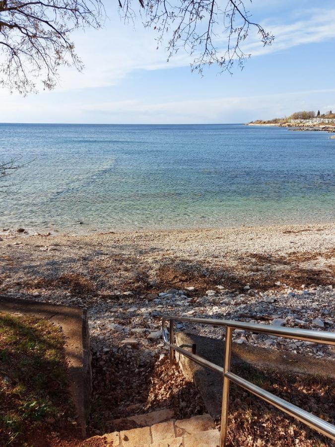Pipo Apartment Mareda Novigrad  ภายนอก รูปภาพ