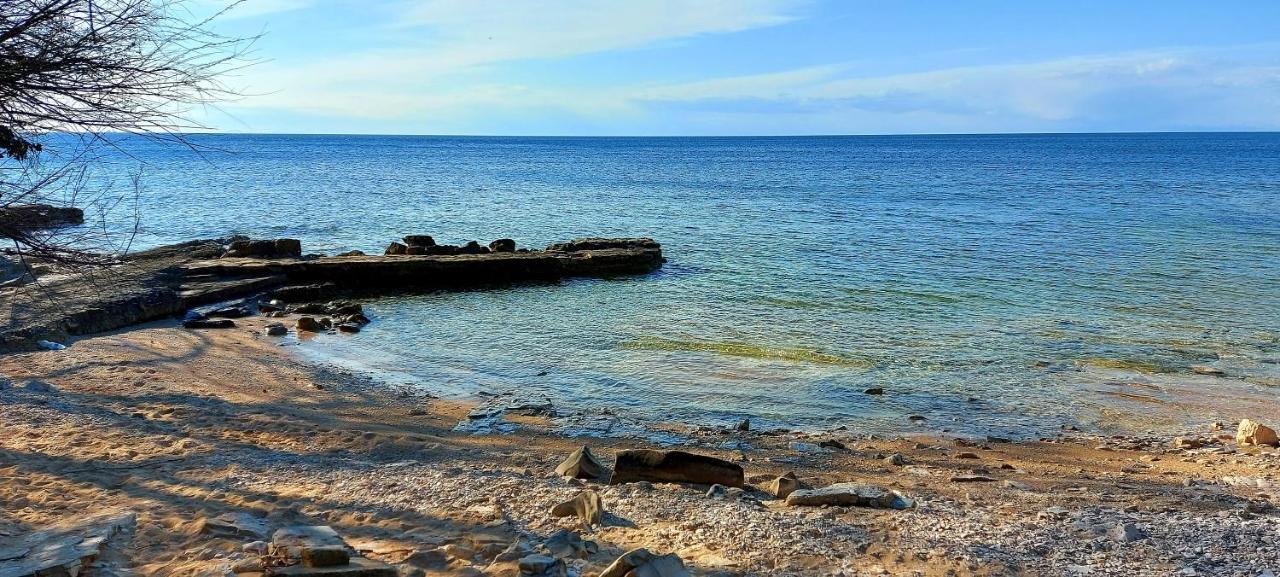 Pipo Apartment Mareda Novigrad  ภายนอก รูปภาพ